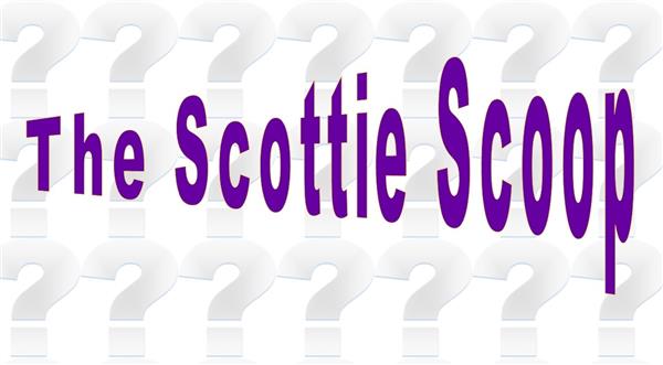 scoop image scoop image